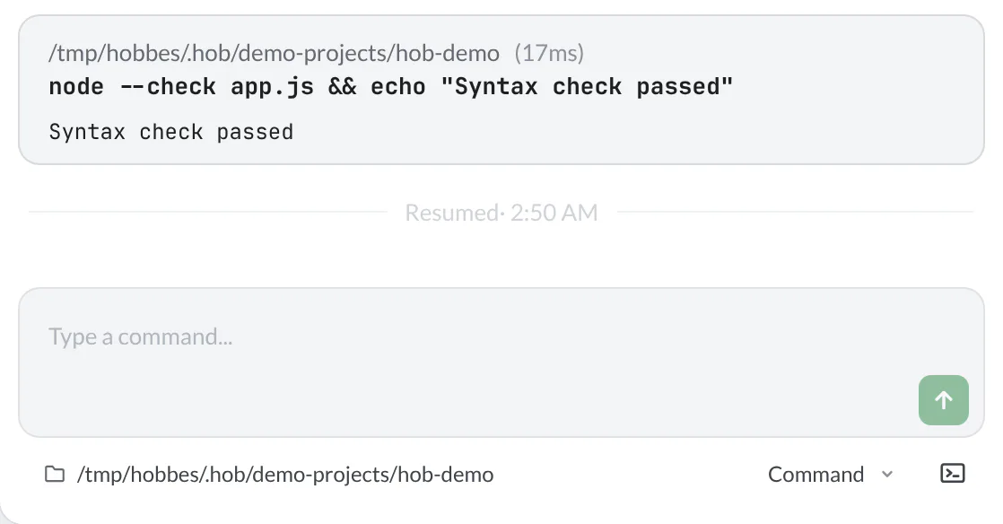 A completed guestbook syntax check above the terminal’s Resumed marker and empty command field
